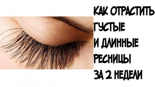 Растут словно бешеные: как вырастить длинные и густые ресницы за 2 недели