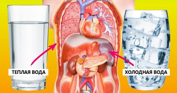 Тёплая или холодная: специалисты объяснили какую воду пить, чтобы потерять вес